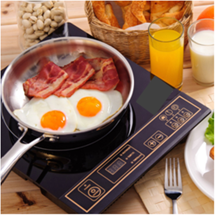 Find the Best Induction Hot Plate with this Guide plus Reviews