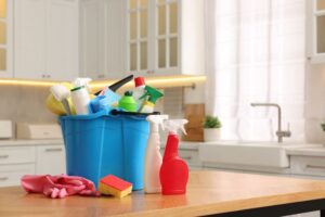 Multi Surface Cleaner